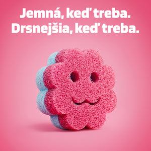 Multifunkčná špongia